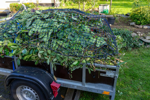 Best Yard Waste Removal  in Morgantown, MS